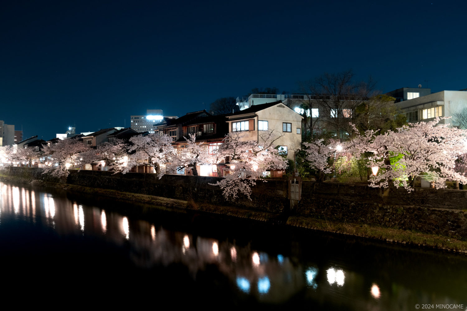 Night shot of Sakura (桜) along Asano River in Kanazawa city, Ishikawa prefecture, JP